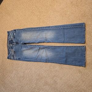 American Eagle Favorite Boyfriend 0 Short Jeans